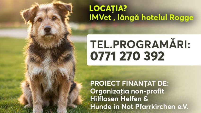 Sterilizare GRATUITĂ pentru animalele cu stăpân din Reşiţa