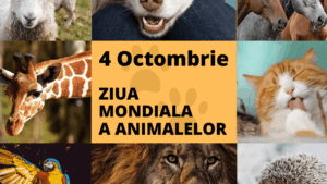 4 octombrie – Ziua internațională a animalelor