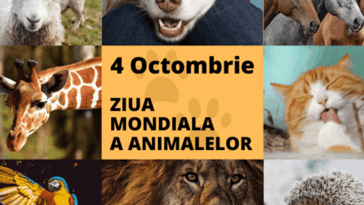 4 octombrie – Ziua internațională a animalelor
