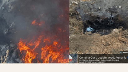 Arad: Cadavre de animale, incendiate într-o groapa lânga o fermă