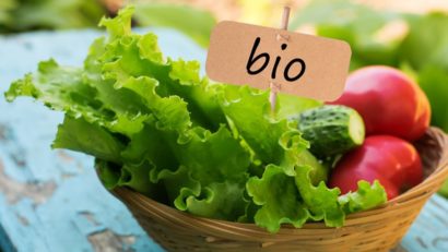 Agricultura ecologică din România în plină expansiune: peste 780.000 de hectare cultivate bio în 2024