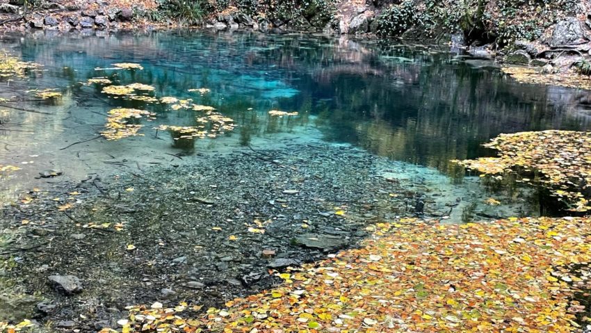 Jandarmii au descins în Parcul Național Cheile Nerei – Beușnița Jandarmii au descins în Parcul Național Cheile Nerei – Beușnița