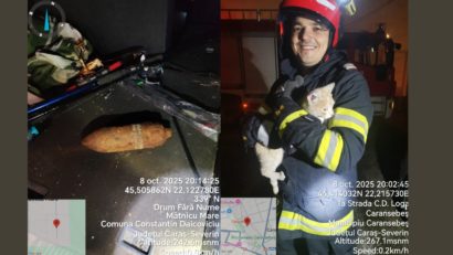Intervenții ale pompierilor cărășeni: incendiu la Reșița, muniție neexplodată la Mâtnicu Mare și salvarea unei pisici