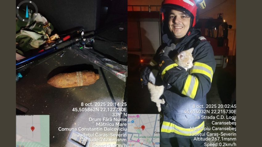 Intervenții ale pompierilor cărășeni: incendiu la Reșița, muniție neexplodată la Mâtnicu Mare și salvarea unei pisici Intervenții ale pompierilor cărășeni: incendiu la Reșița, muniție neexplodată la Mâtnicu Mare și salvarea unei pisici