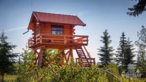 Observatoare pentru animale vor fi amenajate în Parcul Național Semenic–Cheile Carașului pentru a stimula turismul și educația ecologică