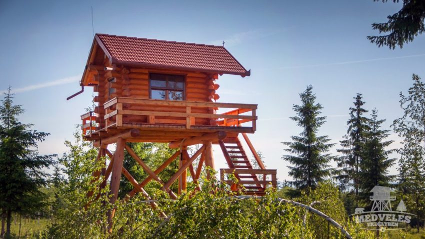Observatoare pentru animale vor fi amenajate în Parcul Național Semenic–Cheile Carașului pentru a stimula turismul și educația ecologică Observatoare pentru animale vor fi amenajate în Parcul Național Semenic–Cheile Carașului pentru a stimula turismul și educația ecologică