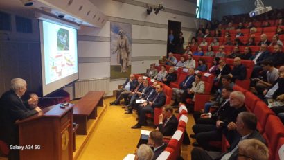 Academia Română şi autorităţile cer măsuri urgente pentru salvarea staţiunii Băile Herculane