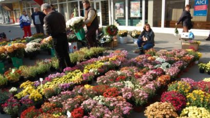 Comerț stradal de 1 Noiembrie 2025 la Timișoara: Primăria anunță perioada de depunere a cererilor și condițiile de autorizare