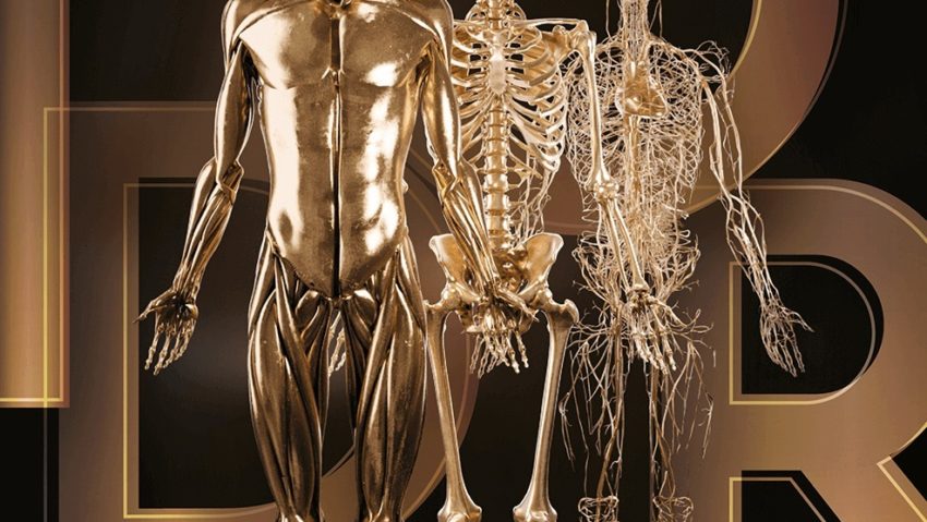 Ziua Internațională a Radiologiei. Excelență în imagistică medicală la Spitalul Victor Babeș din Timișoara