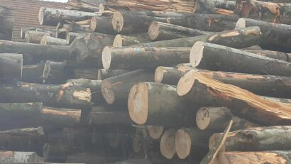 Cererea de lemn de foc a crescut în 2025 din cauza preţurilor mărite la ceilalţi combustibili. Ocolul Silvic asigură cantităţi suficiente de material lemnos pentru populație în sezonul rece