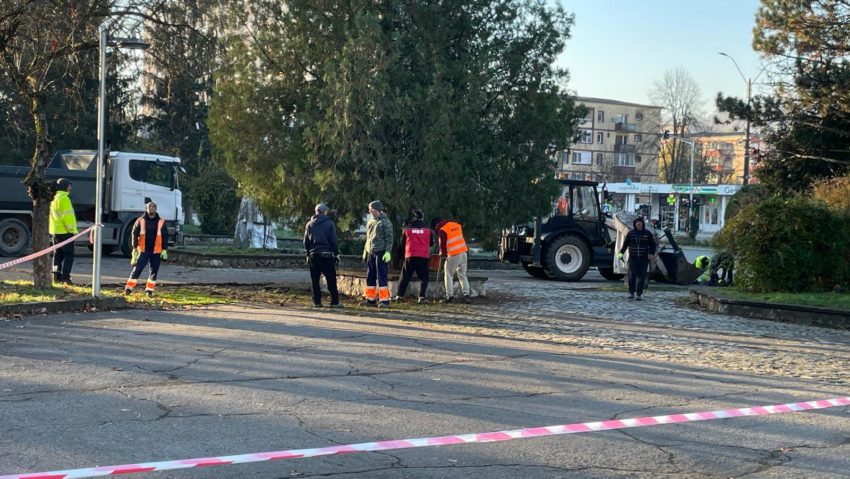 Daniel Călin: Parcul Tricolorului din Reșița este „sub asediu”