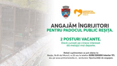 Primăria Reșița face angajări la Padocul Public