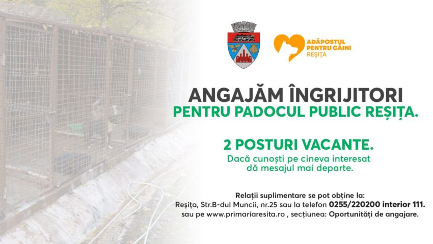 Primăria Reșița face angajări la Padocul Public