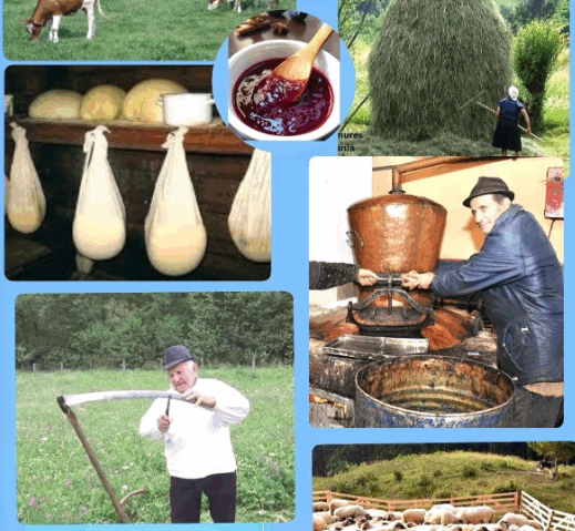 Programul național „Viața la Țară” – un pas important pentru revitalizarea satului românesc și promovarea agroturismului autentic
