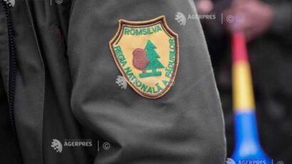 Romsilva: investiții de 289 milioane lei în 2025
