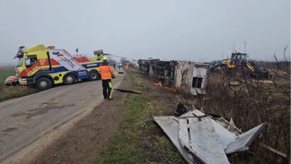 Accident rutier în zona Oravița: Un camion cu suine s-a răsturnat între Vărădia și DN 57. Două persoane rănite, 24 de animale pierite