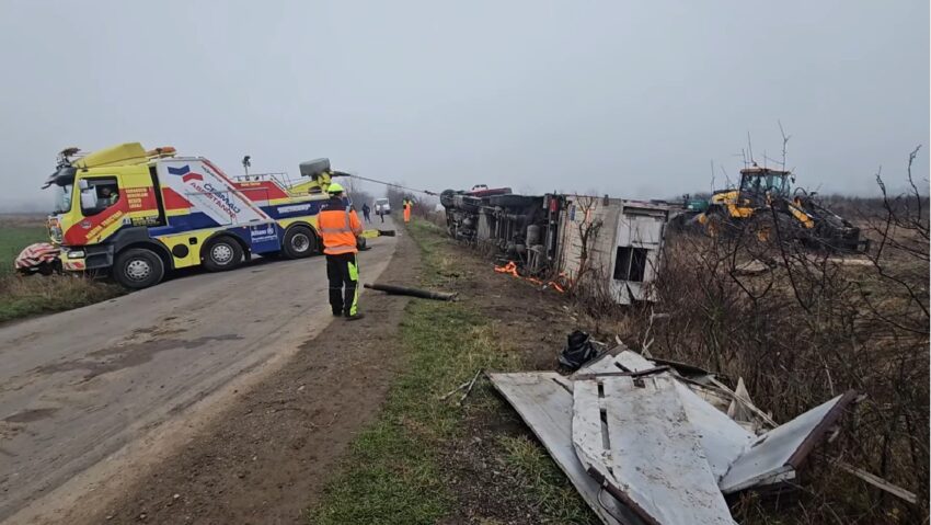 Accident rutier în zona Oravița: Un camion cu suine s-a răsturnat între Vărădia și DN 57. Două persoane rănite, 24 de animale pierite