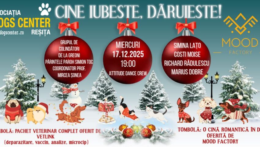 „Cine iubește, dăruiește!” – eveniment caritabil de Crăciun pentru câinii fără stăpân, organizat la Reșița