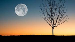 Ultima Lună Plină din 2025: „Luna Rece”, spectacolul ceresc al începutului de iarnă