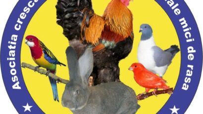Expoziție de păsări și animale mici de rasă la Caransebeș, între 9 și 11 ianuarie 2026