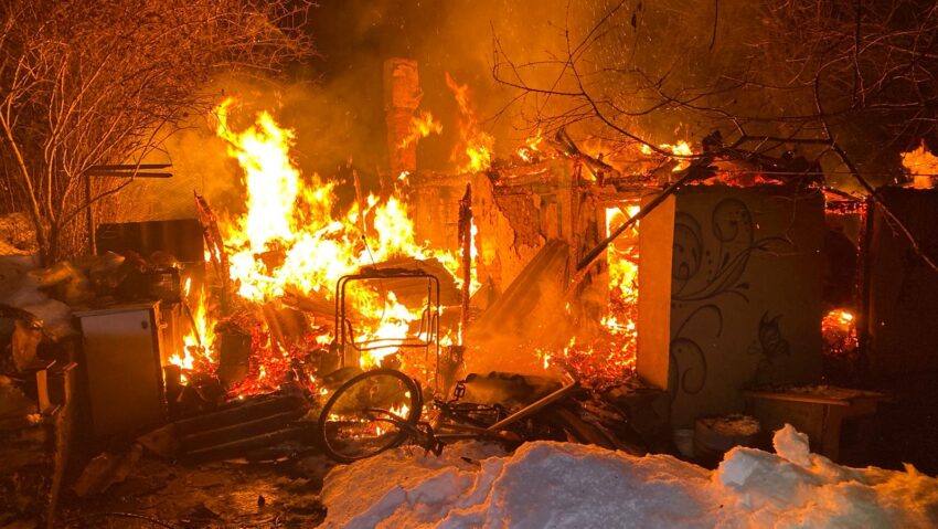 Animale carbonizate în Reșița
