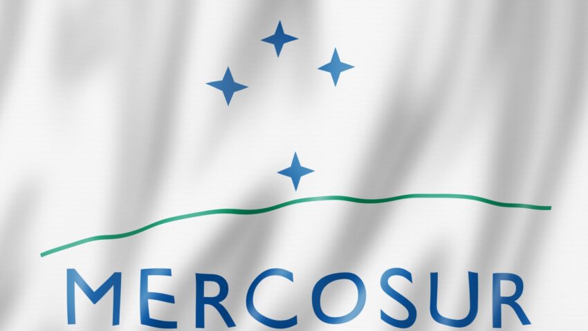 Fermierii români protestează la Strasbourg împotriva Acordului Mercosur. Peste 200 de agricultori din România, prezenți în fața Parlamentului European