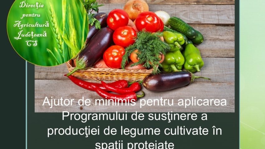 Ajutor de minimis 2025–2027 pentru legume cultivate în spații protejate: condiții, culturi eligibile și înscriere