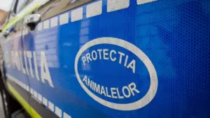 Tânără din Carașova, reținută după ce ar fi schingiuit câinele din propria gospodărie