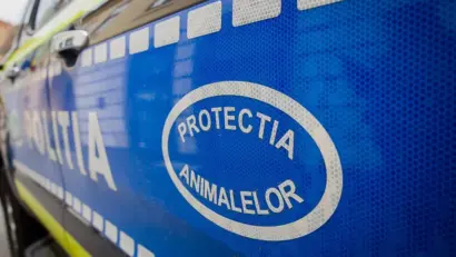 Caz de cruzime asupra animalelor în Caraș-Severin: IPJ anchetează incidentul semnalat la Bucoșnița