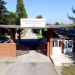 Timiș: Trei cazuri de scabie la Spitalul de Psihiatrie din Jebel. DSP a declanșat control epidemiologic