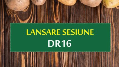 Se deschide sesiunea DR 16 – „Investiții în sectorul legume și/ sau cartofi”. Peste 151 milioane euro pentru fermieri