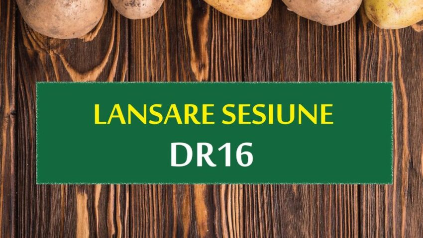 Se deschide sesiunea DR 16 – „Investiții în sectorul legume și/ sau cartofi”. Peste 151 milioane euro pentru fermieri