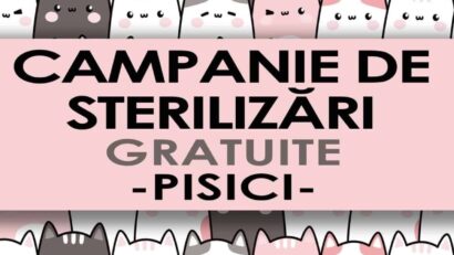 Reşiţa: Prima Campanie de Sterilizări Gratuite cu locuri limitate din 2026