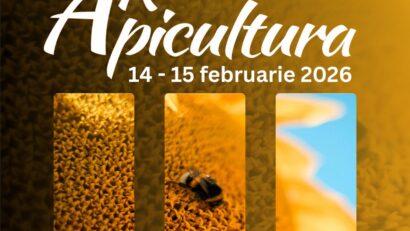 Târgul apicol de la Arad 2026: echipamente, produse apicole și delicii tradiționale