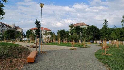 Primăria Timișoara începe programul anual de cosire și întreținere a spațiilor verzi