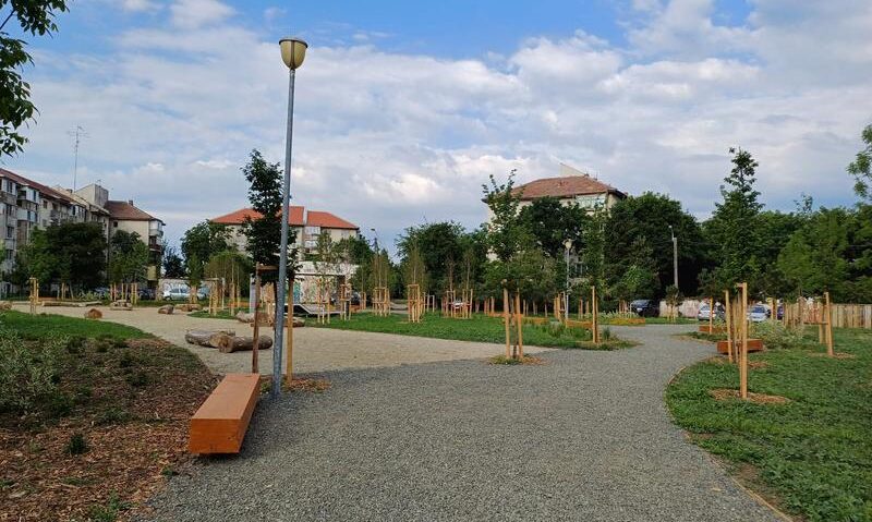 Primăria Timișoara începe programul anual de cosire și întreținere a spațiilor verzi
