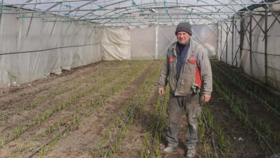 Programul Tomata văzut din teren: investiții mari, sprijin prea mic, chiar insuficient pentru legumicultorii din Caraş-Severin