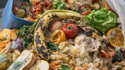Stoparea risipei alimentare – o responsabilitate individuală și socială