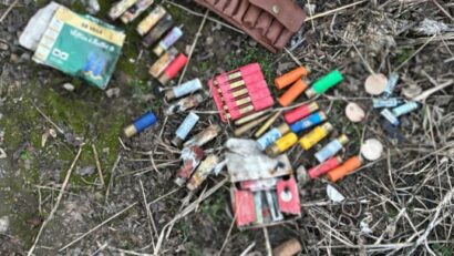 Timiș: Bărbat reținut după percheziții într-un dosar privind regimul armelor și munițiilor