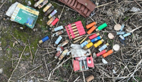 Timiș: Bărbat reținut după percheziții într-un dosar privind regimul armelor și munițiilor