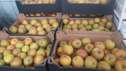 Merele Renet de Canada, recomandate în alimentația diabeticilor se găsesc în cantităţi apreciabile în Piaţa Agroalimentară Reşiţa Nord