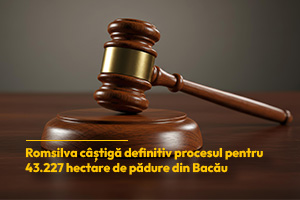 Romsilva câștigă definitiv procesul pentru 43.227 hectare de pădure din județul Bacău