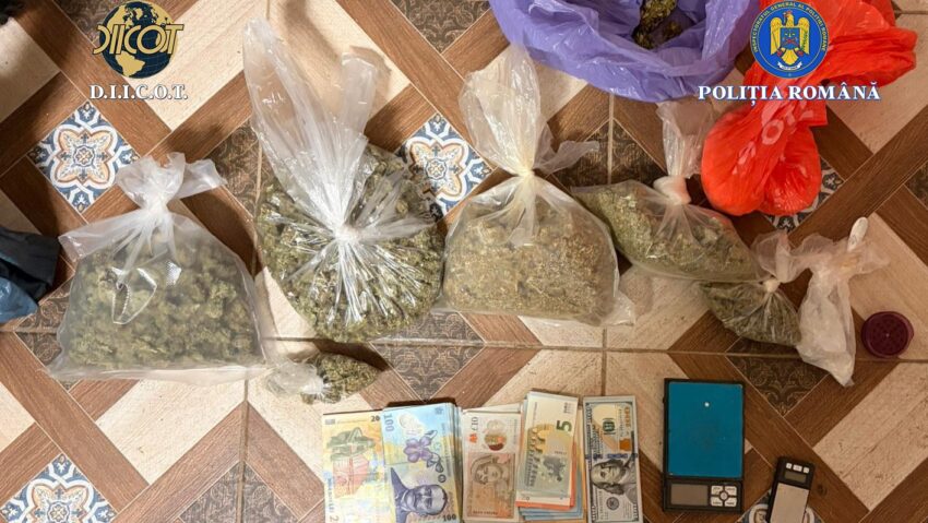 Traficați de droguri săltați de polițiștii Brigăzii de Combatere a Criminalității Organizate Timișoara