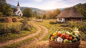 Programul „Viața la țară”, votat favorabil în Senat. Lege pentru promovarea agroturismului și patrimoniului rural