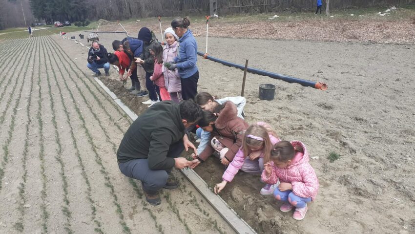 În Caraș-Severin, Luna Plantării Arborilor a început în Pepiniera Bratonea: elevii şi personalul silvic, implicaţi în campania de primăvară