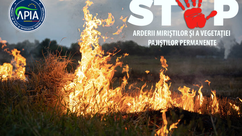 APIA Caraş-Severin avertizează fermierii: arderea miriştilor este strict interzisă!