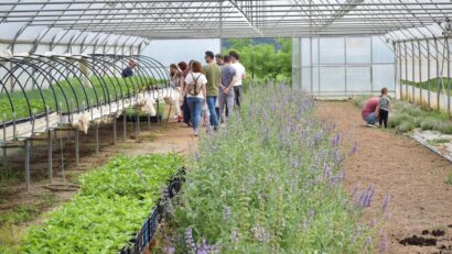 Ateliere de grădinărit pentru elevi și studenți în Valea Almăjului: educație practică în natură