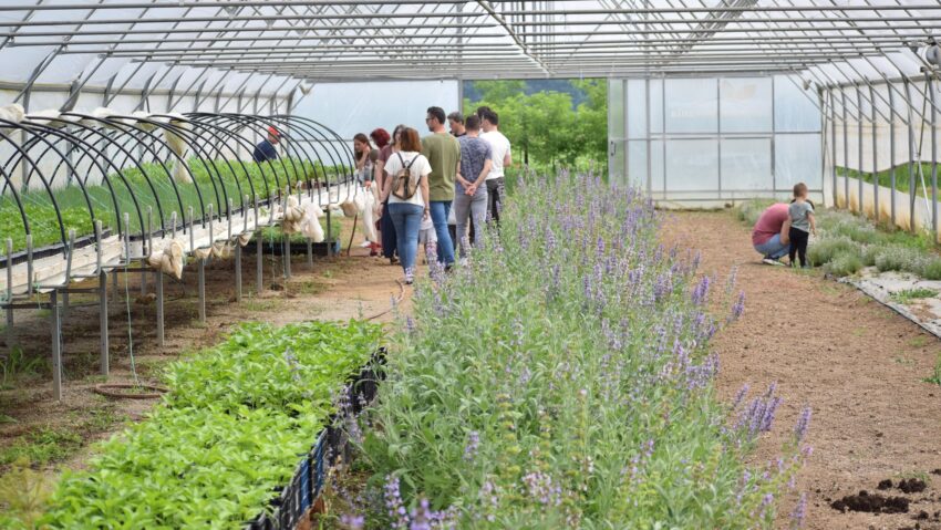 Ateliere de grădinărit pentru elevi și studenți în Valea Almăjului: educație practică în natură