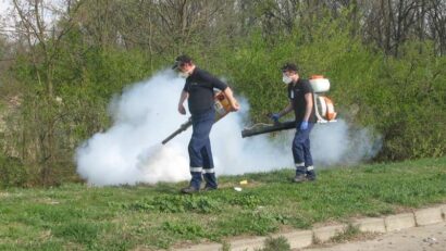 Dezinsecție și deratizare în Timișoara, în perioada 2-17 iunie. Primăria anunță intervenții nocturne în tot orașul