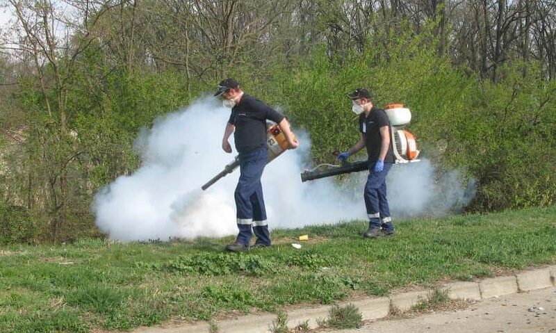 Timișoara începe acțiuni de dezinsecție terestră: prevenție împotriva căpușelor și țânțarilor